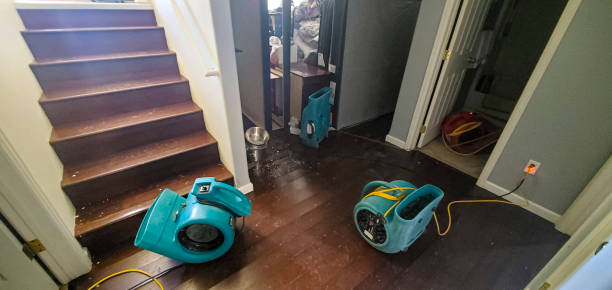 Best 24-hour water damage restoration  in Petoskey, MI