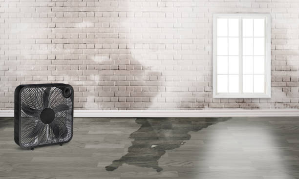  Petoskey, MI Water damage restoration Pros