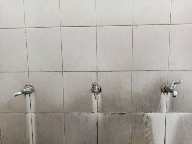 Best Emergency water extraction  in Petoskey, MI