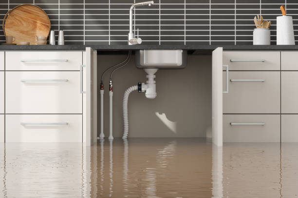 Best Water damage restoration process  in Petoskey, MI